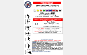 Stage Taekwondo -  préparation PG